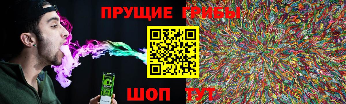 Лыткарино  Псилоцибиновые грибы ЛСД  Псилоцибиновые грибы Cubensis  Вход с VPN 